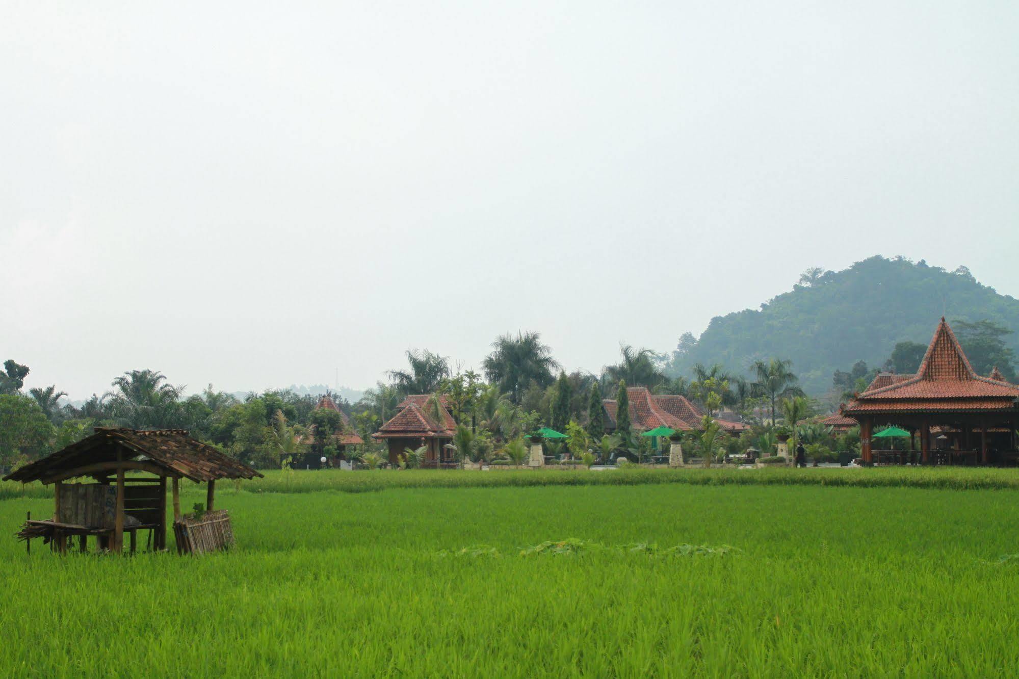 Melva Balemong Hotel Semarang Exterior photo